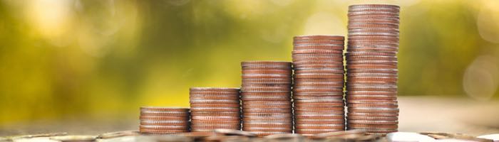 Hohe Zinsen auf BERGFÜRST