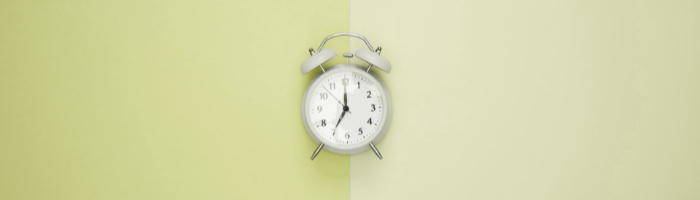 BERGFÜRST Zinstermin