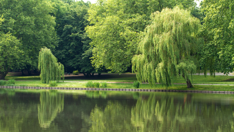 Lietzensee, Berlin-Charlottenburg