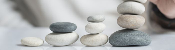 Zinsen auf BERGFÜRST